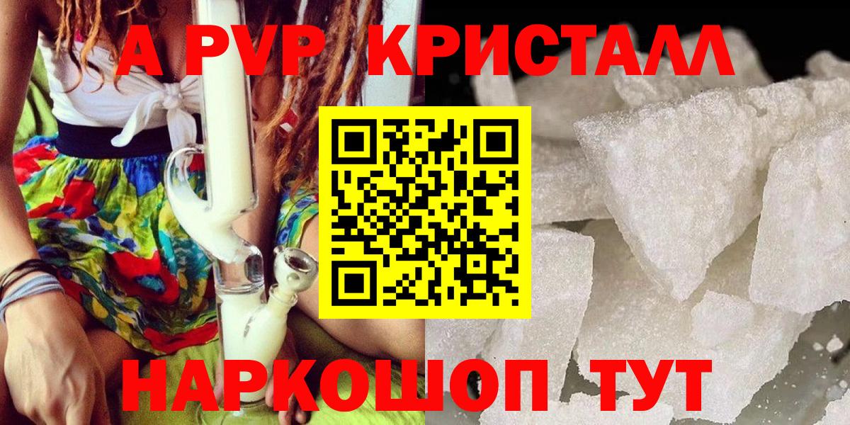 A PVP СК КРИС Архангельск